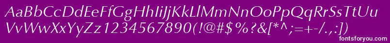OptimaLtItalic Font – White Fonts on Purple Background