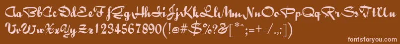 BaileyRegular Font – Pink Fonts on Brown Background