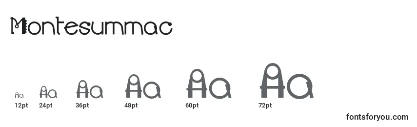 Размеры шрифта Montesummac