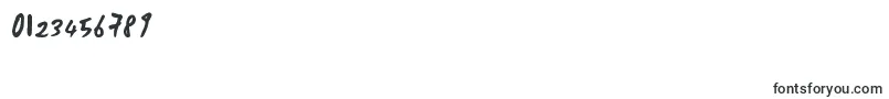 DaSilvano Font – Fonts for Numbers and Digits