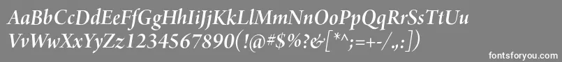 ArnoproSemibolditalic36pt Font – White Fonts on Gray Background