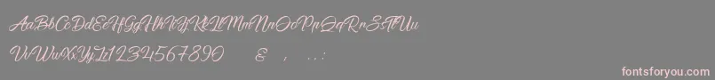 PictorialSignature Font – Pink Fonts on Gray Background