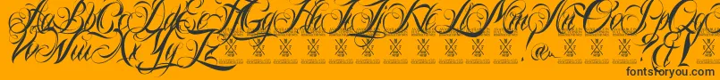 Ninascriptdemo Font – Black Fonts on Orange Background