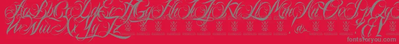 Ninascriptdemo-Schriftart – Graue Schriften auf rotem Hintergrund