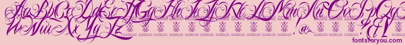 Ninascriptdemo Font – Purple Fonts on Pink Background