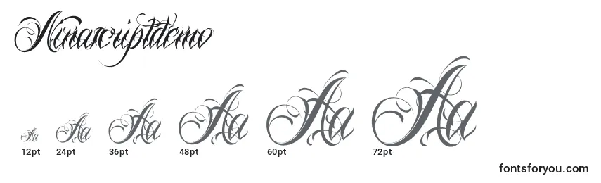Ninascriptdemo Font Sizes