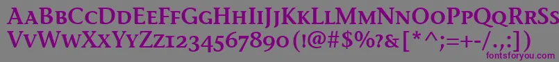 StoneInfSemScItcTtSemi Font – Purple Fonts on Gray Background