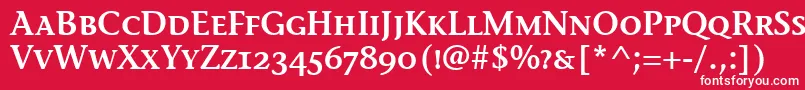 フォントStoneInfSemScItcTtSemi – 赤い背景に白い文字