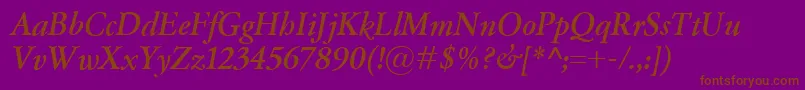 GaramondClassicoBolditalic Font – Brown Fonts on Purple Background