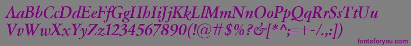 Шрифт GaramondClassicoBolditalic – фиолетовые шрифты на сером фоне