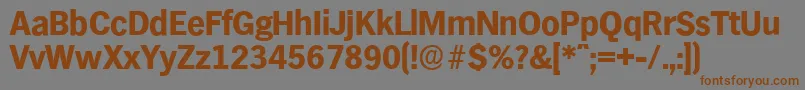 HamburgserialXboldRegular Font – Brown Fonts on Gray Background