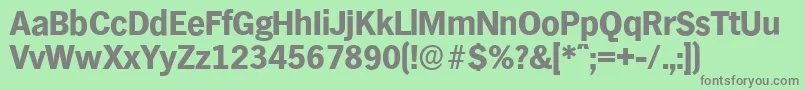 HamburgserialXboldRegular Font – Gray Fonts on Green Background