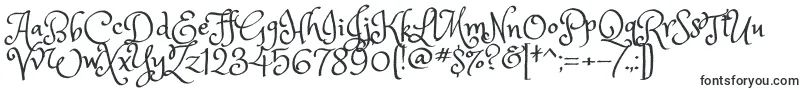 PrincesssofiaRegular-fontti – Alkavat P:lla olevat fontit