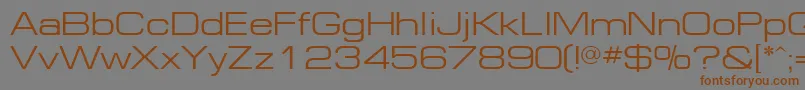 Шрифт Ft81Normal – коричневые шрифты на сером фоне