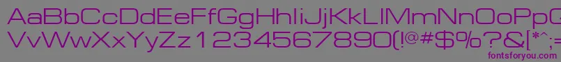 フォントFt81Normal – 紫色のフォント、灰色の背景