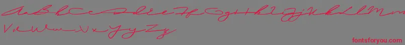 LailaAli Font – Red Fonts on Gray Background