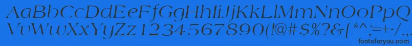 AmidbItalic Font – Black Fonts on Blue Background