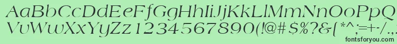 AmidbItalic Font – Black Fonts on Green Background