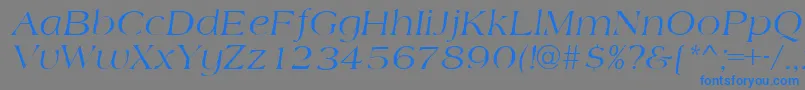 フォントAmidbItalic – 灰色の背景に青い文字