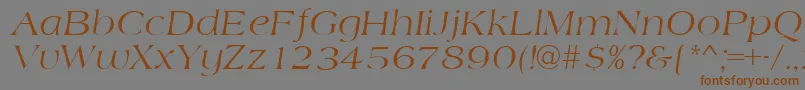 AmidbItalic Font – Brown Fonts on Gray Background