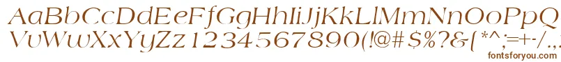 AmidbItalic Font – Brown Fonts