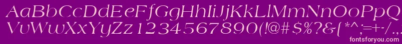 AmidbItalic Font – Pink Fonts on Purple Background