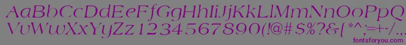 AmidbItalic Font – Purple Fonts on Gray Background