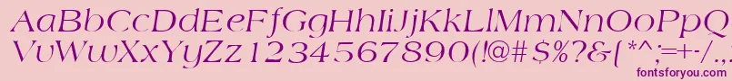 AmidbItalic-Schriftart – Violette Schriften auf rosa Hintergrund