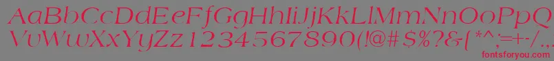 AmidbItalic Font – Red Fonts on Gray Background