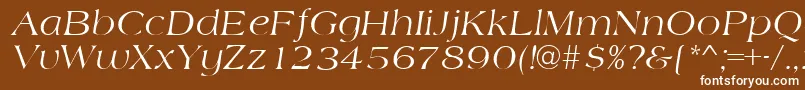 AmidbItalic Font – White Fonts on Brown Background