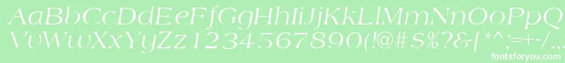 AmidbItalic Font – White Fonts on Green Background