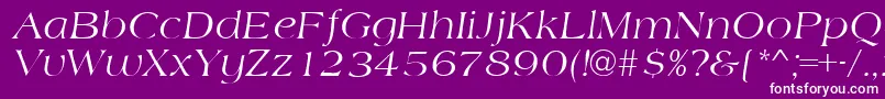 AmidbItalic-Schriftart – Weiße Schriften auf violettem Hintergrund