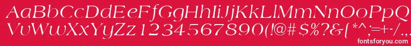 AmidbItalic Font – White Fonts on Red Background