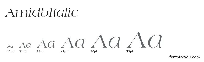 Размеры шрифта AmidbItalic