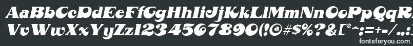 フォントMahoneyItalic – 白い文字