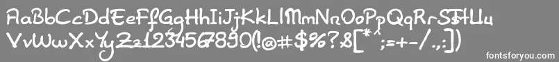ElifSansHerif Font – White Fonts on Gray Background