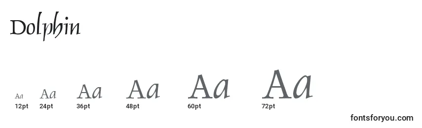 sizes of dolphin font, dolphin sizes