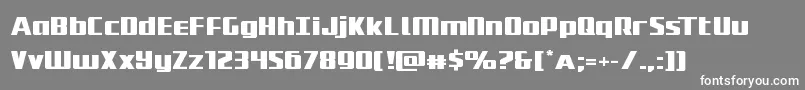 フォントSubadaiexpand – 灰色の背景に白い文字
