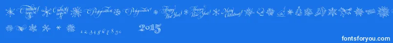 Ptny2015-fontti – valkoiset fontit sinisellä taustalla
