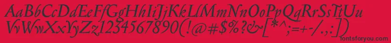 SerapionItalic Font – Black Fonts on Red Background