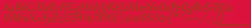 SerapionItalic Font – Brown Fonts on Red Background