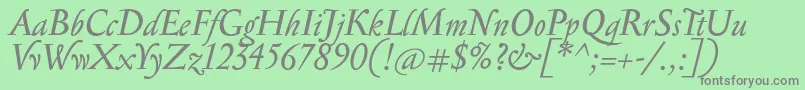 SerapionItalic Font – Gray Fonts on Green Background