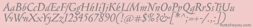 SerapionItalic Font – Gray Fonts on Pink Background