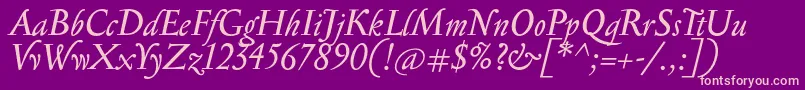 SerapionItalic Font – Pink Fonts on Purple Background