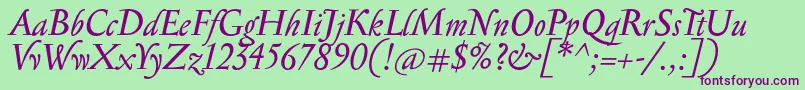 SerapionItalic Font – Purple Fonts on Green Background