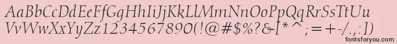 フォントCalligraphic810ItalicBt – ピンクの背景に黒い文字