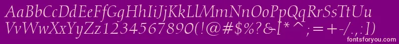 フォントCalligraphic810ItalicBt – 紫の背景にピンクのフォント