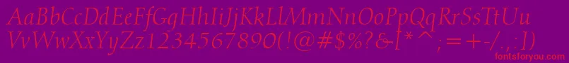 Police Calligraphic810ItalicBt – polices rouges sur fond violet