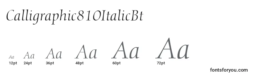 Размеры шрифта Calligraphic810ItalicBt
