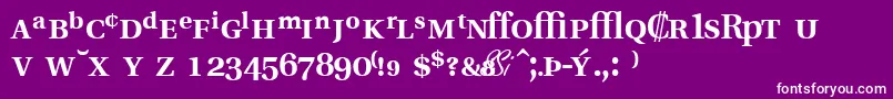 VeracityprosskBold Font – White Fonts on Purple Background